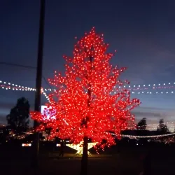 Parque El Tunal - Facatativá