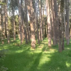 Reserva Natural La Florida - Facatativá