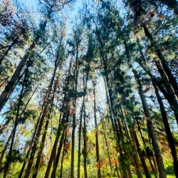 Reserva Natural La Florida - Facatativá