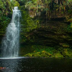 Reserva Natural Cueva de los Guácharos - Florencia