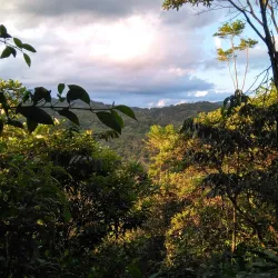 Sendero Ecológico El Paraíso - Florencia