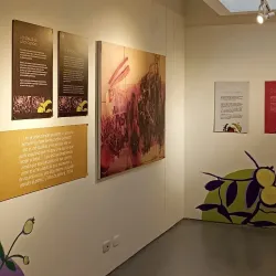 Casa Museo Darío Echandía - Ibague