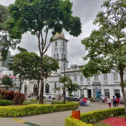 Catedral de Ibagué - Ibague