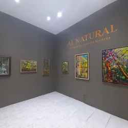 Museo de Arte del Tolima (MAT) - Ibague