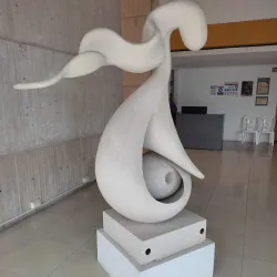 Museo de Arte del Tolima (MAT) - Ibague