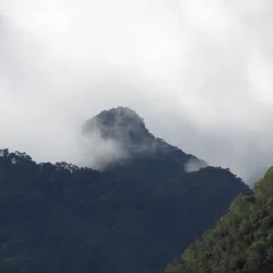 Nevado del Tolima - Ibague