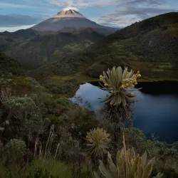 Nevado del Tolima - Ibague