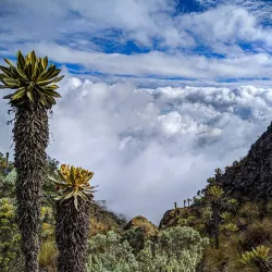 Nevado del Tolima - Ibague