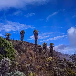 Nevado del Tolima - Ibague