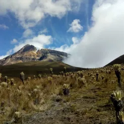 Nevado del Tolima - Ibague