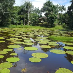 Amacayacu National Park - Leticia