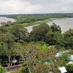 Amacayacu National Park - Leticia