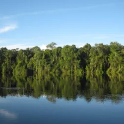 Amacayacu National Park - Leticia