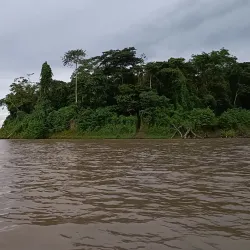 Amacayacu National Park - Leticia