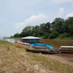 Amacayacu National Park - Leticia