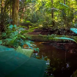Amazon River Boat Tours - Leticia