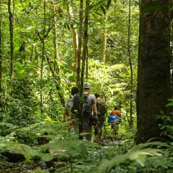 Amazon River Boat Tours - Leticia