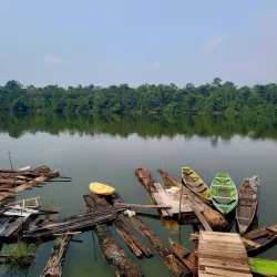 Amazon River Boat Tours - Leticia