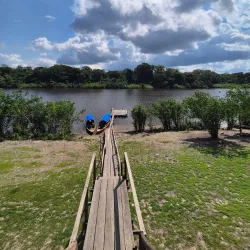 Amazon River Boat Tours - Leticia