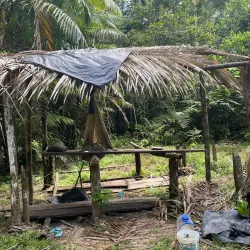 Amazon River Boat Tours - Leticia