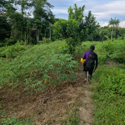 Amazon River Boat Tours - Leticia