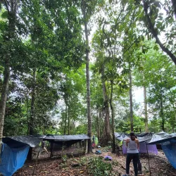 Amazon River Boat Tours - Leticia