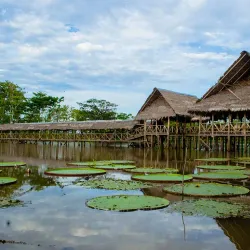 Amazon River Boat Tours - Leticia