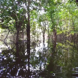 Lake Tarapoto - Leticia