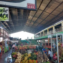Local Market (Mercado Municipal) - Leticia
