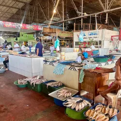 Local Market (Mercado Municipal) - Leticia