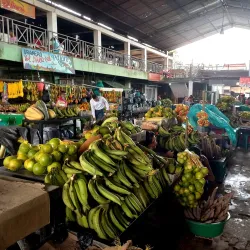 Local Market (Mercado Municipal) - Leticia