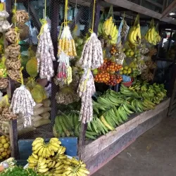 Local Market (Mercado Municipal) - Leticia