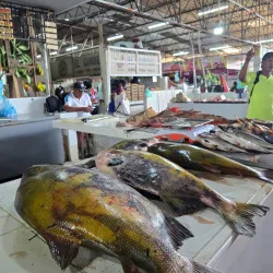 Local Market (Mercado Municipal) - Leticia