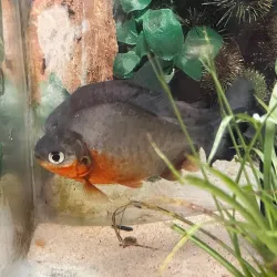 Parque Ecológico Mundo Amazónico - Leticia