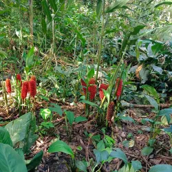 Parque Ecológico Mundo Amazónico - Leticia