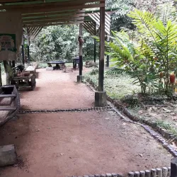 Parque Ecológico Mundo Amazónico - Leticia