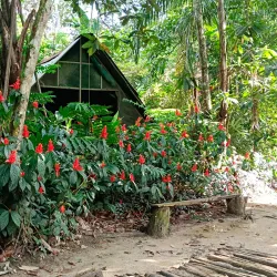Parque Ecológico Mundo Amazónico - Leticia