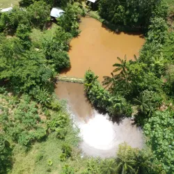 Puerto Nariño - Leticia