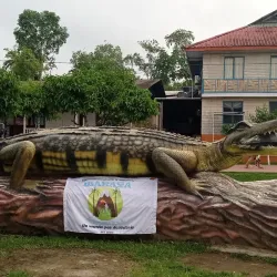 Puerto Nariño - Leticia