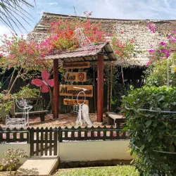 Puerto Nariño - Leticia