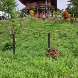 Puerto Nariño - Leticia