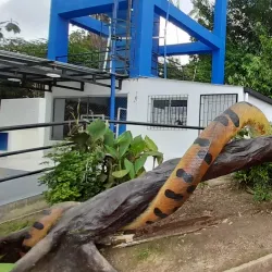 Puerto Nariño - Leticia