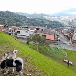 La Carola Hill - Manizales