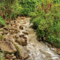 Recinto del Pensamiento - Manizales