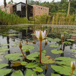 Recinto del Pensamiento - Manizales
