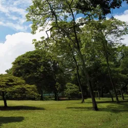 Jardín Botánico de Medellín - Medellin