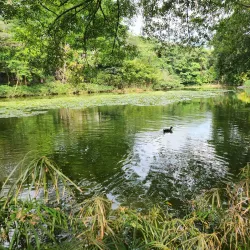 Jardín Botánico de Medellín - Medellin