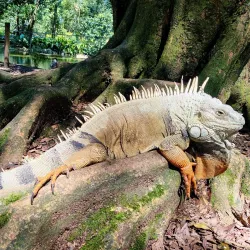 Jardín Botánico de Medellín - Medellin