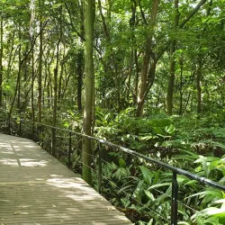 Jardín Botánico de Medellín - Medellin