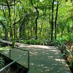 Jardín Botánico de Medellín - Medellin